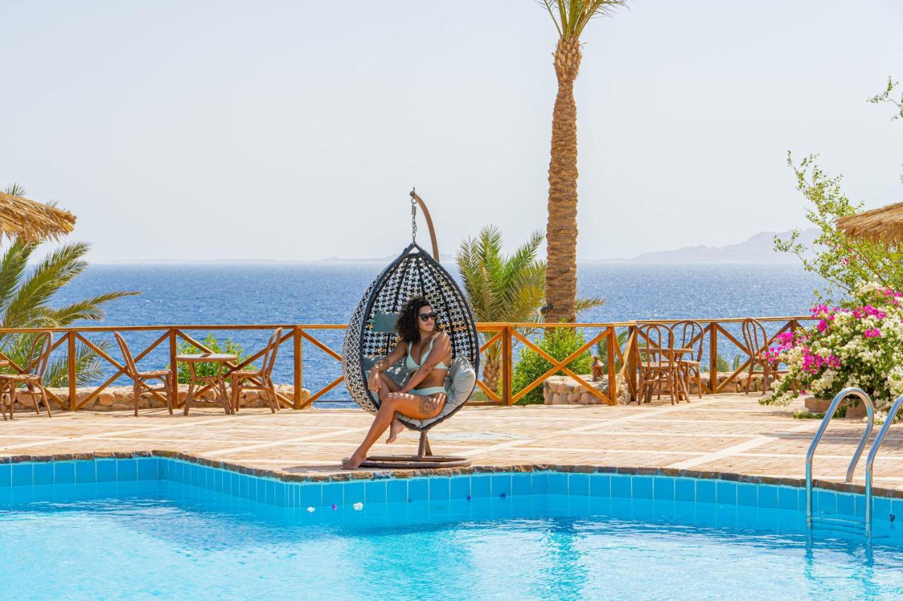 Club Reef Resort & Spa Šarm aš-Šajch Exteriér fotografie